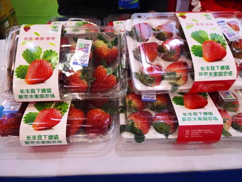 周末市集倒計時 三萬種優質農產品，只等你來！